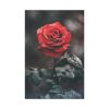 91655-101.jpg Close-up of a Red Rose With Its Petals Standard Canvas