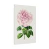 91655-105.jpg Hand Drawn Bengal Rose Standard Canvas