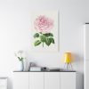 91655-107.jpg Hand Drawn Bengal Rose Standard Canvas