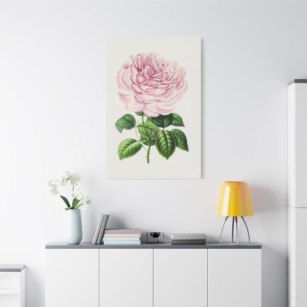 91655-107.jpg Hand Drawn Bengal Rose Standard Canvas