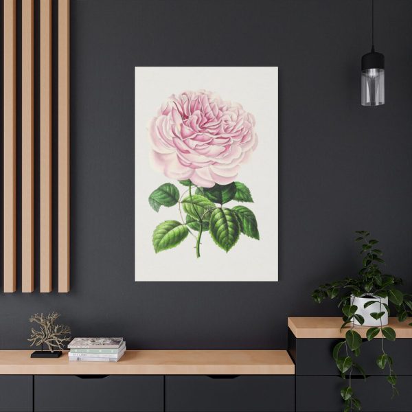 91655-108.jpg Hand Drawn Bengal Rose Standard Canvas
