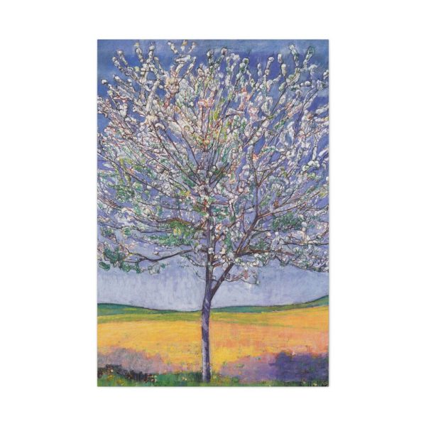 91655-141.jpg Hodler Cherry Tree Bloom Standard Canvas