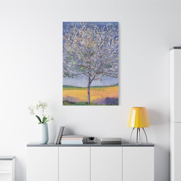 91655-142.jpg Hodler Cherry Tree Bloom Standard Canvas