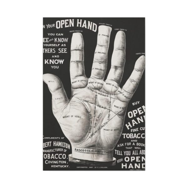 91655-151.jpg Open Hand Palm reading Standard Canvas