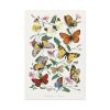 Butterfly & Moth Painting by Paul Gervais Standard Canvas