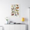 Butterfly & Moth Painting by Paul Gervais Standard Canvas