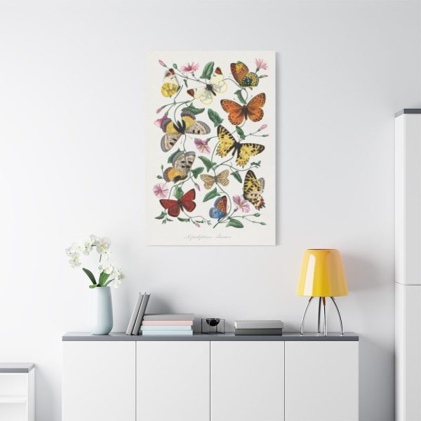 Butterfly & Moth Painting by Paul Gervais Standard Canvas