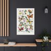 Butterfly & Moth Painting by Paul Gervais Standard Canvas