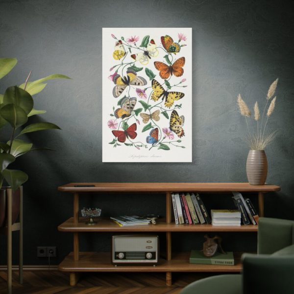 Butterfly & Moth Painting by Paul Gervais Standard Canvas