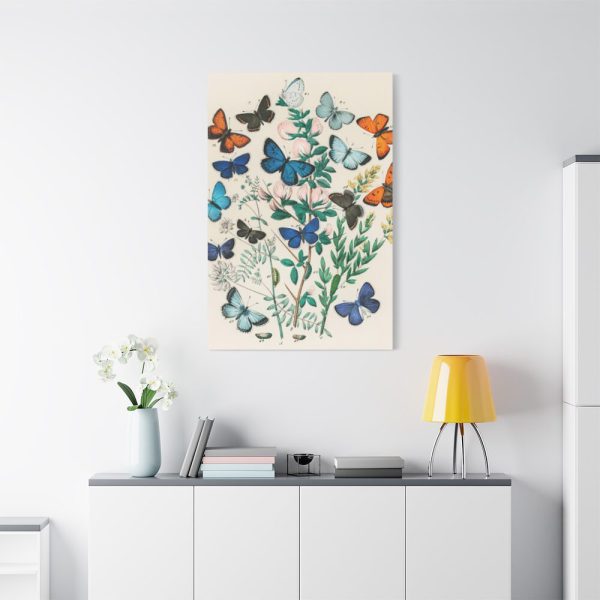 91655-187.jpg European Butterflies and Moths by William Forsell Kirby Standard Canvas