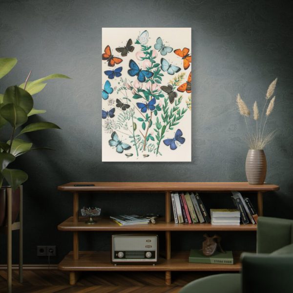 91655-189.jpg European Butterflies and Moths by William Forsell Kirby Standard Canvas