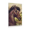 91655-195.jpg Vintage Horse Illustration Standard Canvas