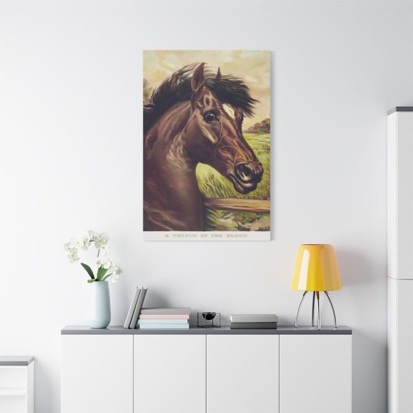 91655-197.jpg Vintage Horse Illustration Standard Canvas