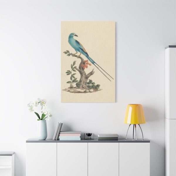 91655-2.jpg Coracias abyssinicus (Abyssinian Roller) Standard Canvas