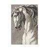91655-211.jpg Study of a Horse's Head by John Michael Rysbrack Standard Canvas