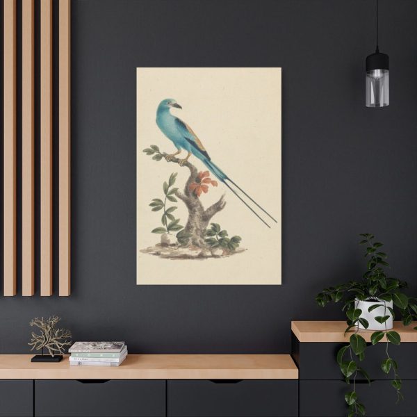 91655-3.jpg Coracias abyssinicus (Abyssinian Roller) Standard Canvas