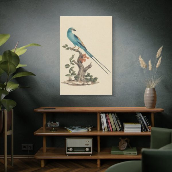 91655-4.jpg Coracias abyssinicus (Abyssinian Roller) Standard Canvas