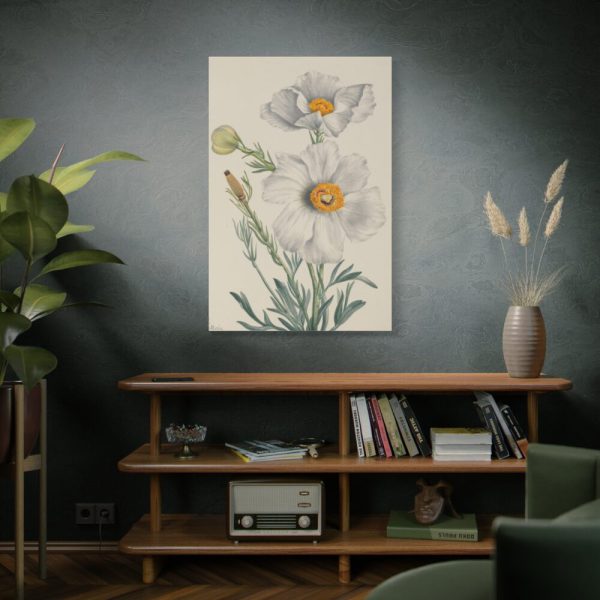 Matilija Poppy by Mary Vaux Walcott Standard Canvas