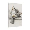 91655-50.jpg Sketch of a Sleeping Cat Standard Canvas