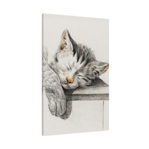 91655-50.jpg Sketch of a Sleeping Cat Standard Canvas
