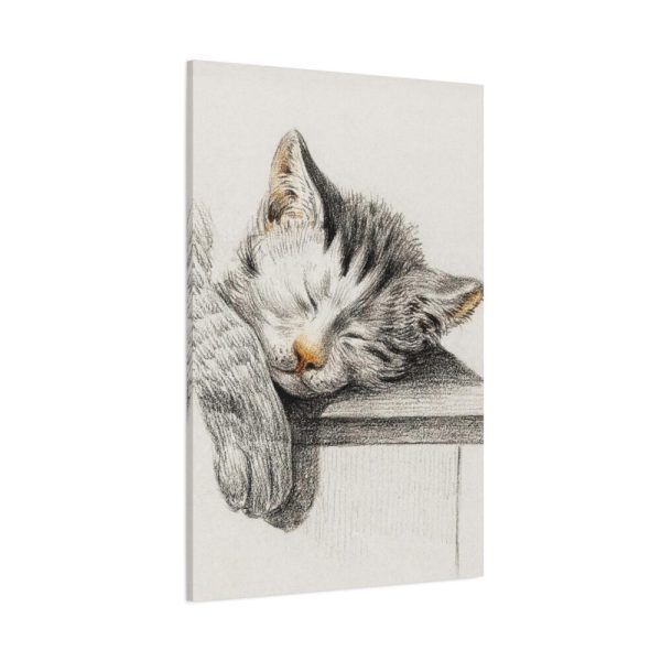 91655-50.jpg Sketch of a Sleeping Cat Standard Canvas