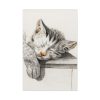 91655-51.jpg Sketch of a Sleeping Cat Standard Canvas