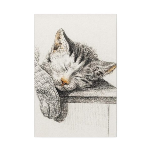 91655-51.jpg Sketch of a Sleeping Cat Standard Canvas