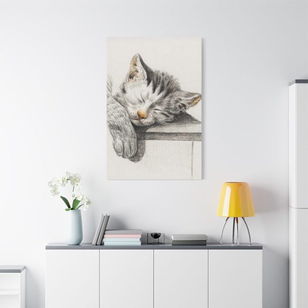 91655-52.jpg Sketch of a Sleeping Cat Standard Canvas