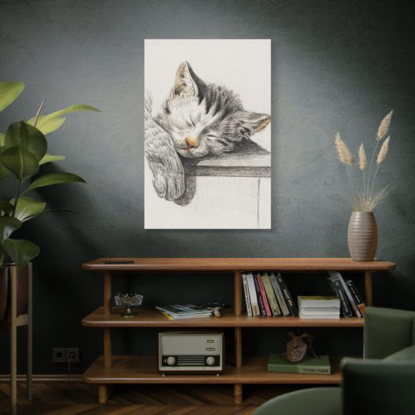 91655-54.jpg Sketch of a Sleeping Cat Standard Canvas
