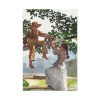 91655-61.jpg On the Fence Standard Canvas