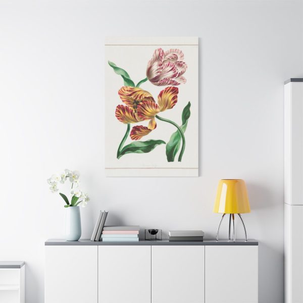 91655-82.jpg Various Tulips by John Edwards Standard Canvas