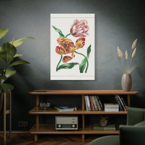 91655-84.jpg Various Tulips by John Edwards Standard Canvas