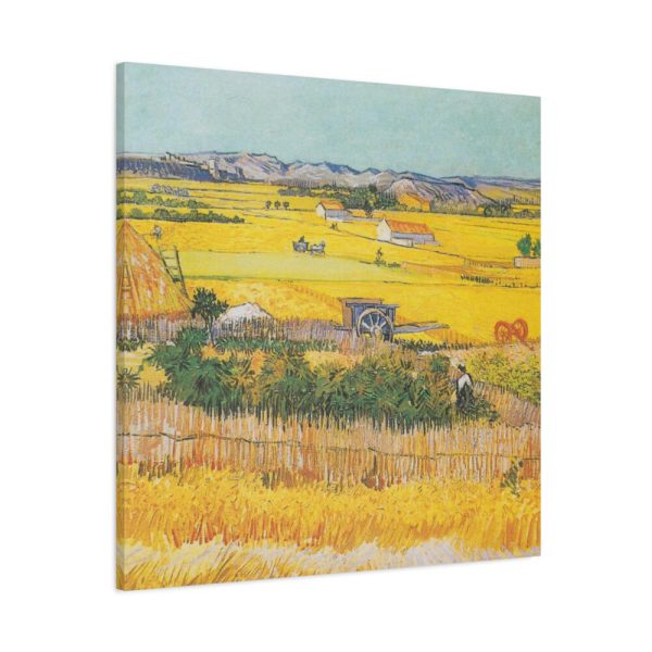 91663-10.jpg Van Gogh Harvest Standard Canvas