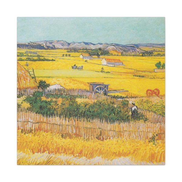 91663-11.jpg Van Gogh Harvest Standard Canvas