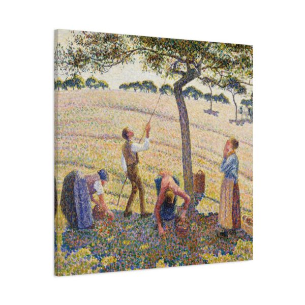 91663-25.jpg Apple Harvest Standard Canvas