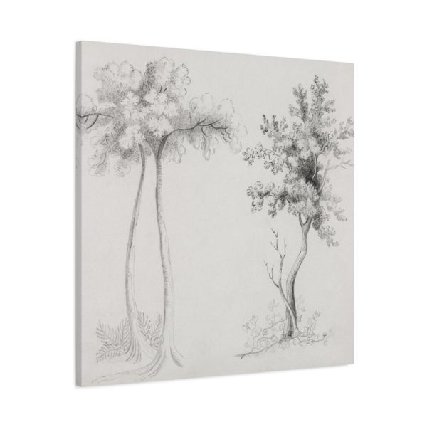 91663-30.jpg Studies of Upas and Maple Trees Standard Canvas