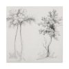 91663-31.jpg Studies of Upas and Maple Trees Standard Canvas