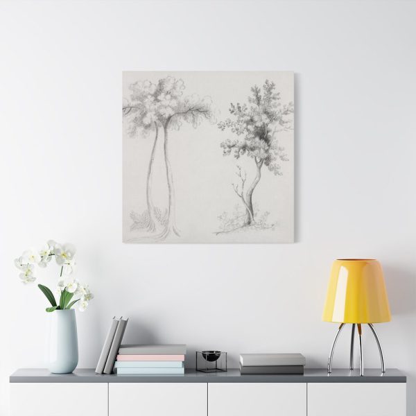 91663-32.jpg Studies of Upas and Maple Trees Standard Canvas