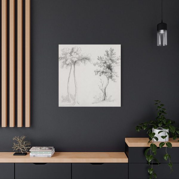 91663-33.jpg Studies of Upas and Maple Trees Standard Canvas