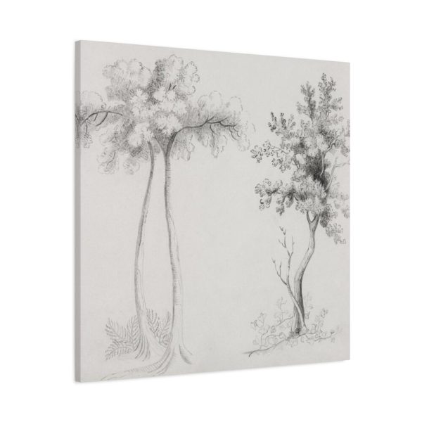 91663-35.jpg Studies of Upas and Maple Trees Framed Canvas