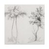91663-36.jpg Studies of Upas and Maple Trees Framed Canvas