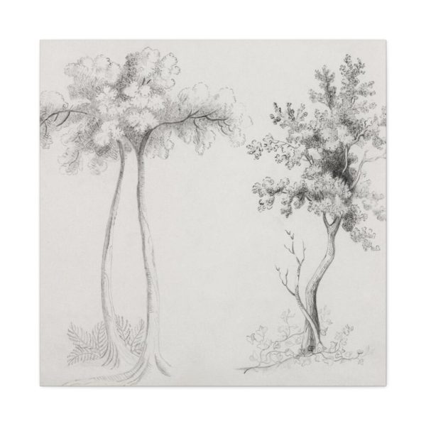 91663-36.jpg Studies of Upas and Maple Trees Framed Canvas