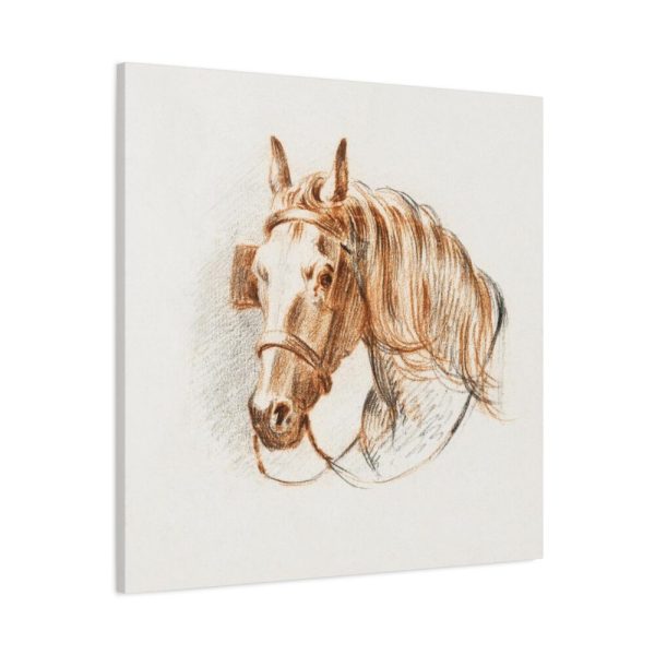 Head of a Horse With Blinkers by Jean Bernard Standard Canvas