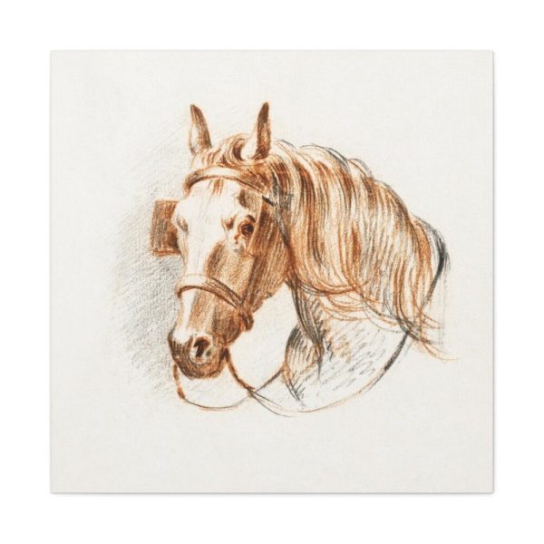 Head of a Horse With Blinkers by Jean Bernard Standard Canvas