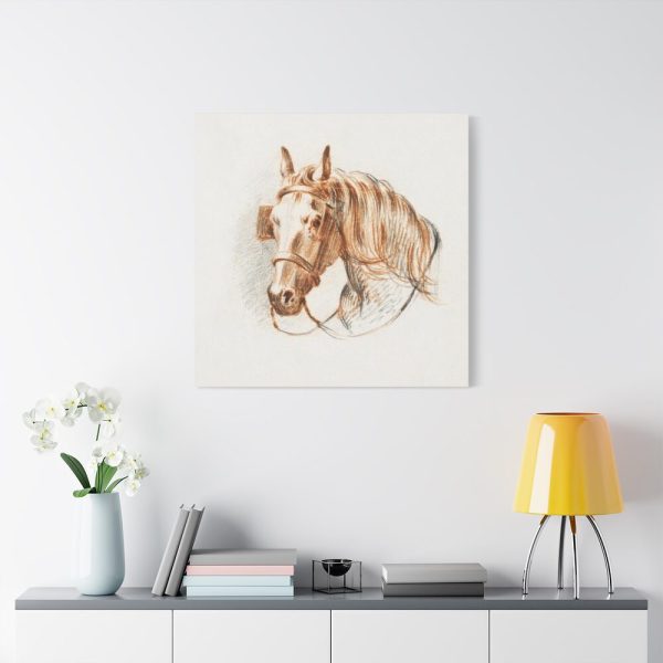 Head of a Horse With Blinkers by Jean Bernard Standard Canvas
