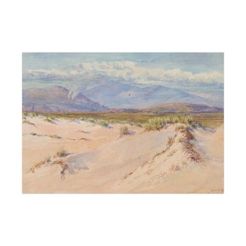 92408-12.jpg Sand Dunes, Harlech, North Wales, Poster