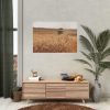 Tractor Harvest Grains of Wheat in a Farm Field Poster