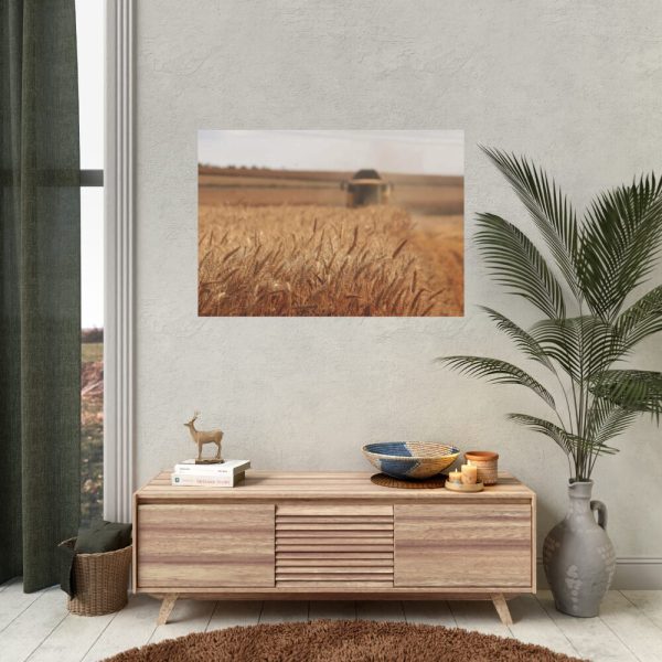 Tractor Harvest Grains of Wheat in a Farm Field Poster