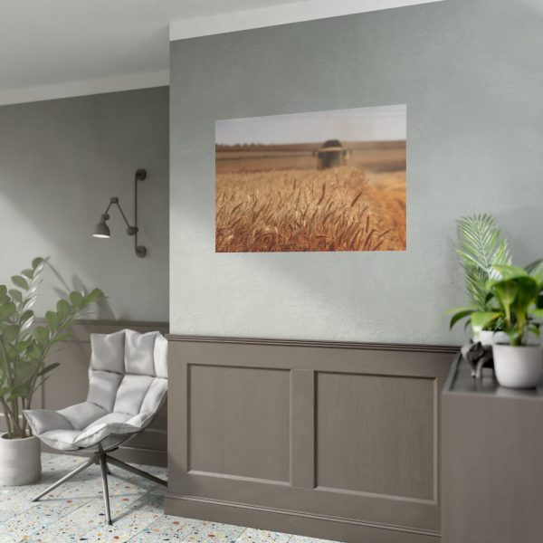 Tractor Harvest Grains of Wheat in a Farm Field Poster
