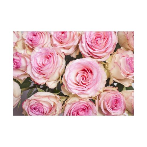92408-189.jpg Rose Pink Roses Poster
